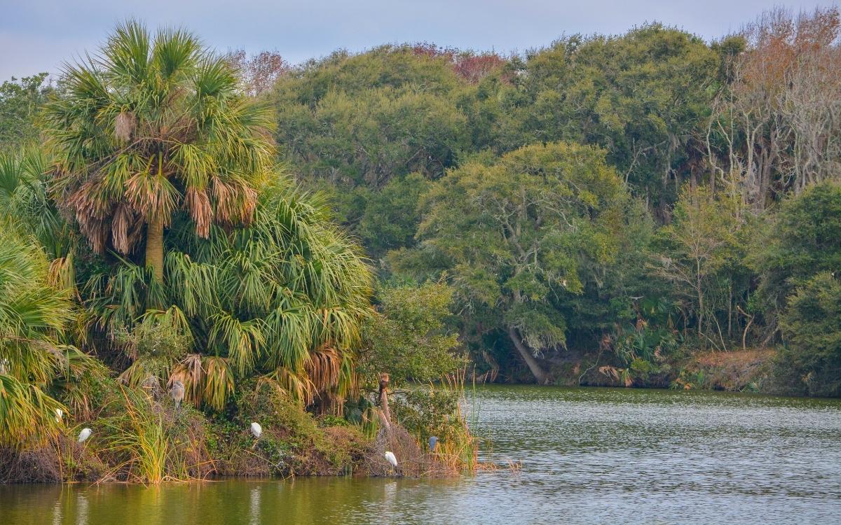 hanna park activities